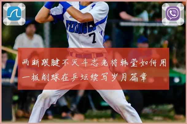 两断跟腱不灭斗志老将韩莹如何用一板削球在乒坛续写岁月篇章