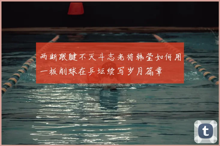 两断跟腱不灭斗志老将韩莹如何用一板削球在乒坛续写岁月篇章